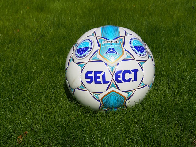 他的體型和 他的體型和