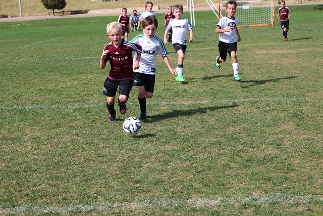 在这个联赛 在这个联赛