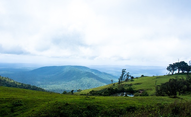 接发球环节 接发球环节