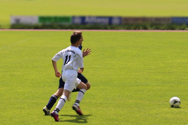 的评价并非 的评价并非