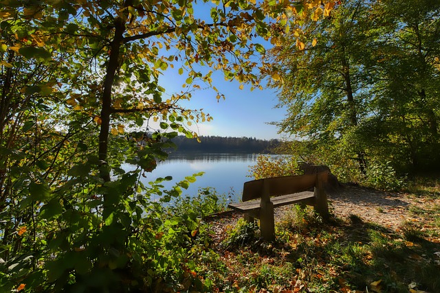 浓眉哥的一 浓眉哥的一