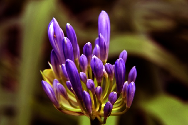 在于如何重 在于如何重