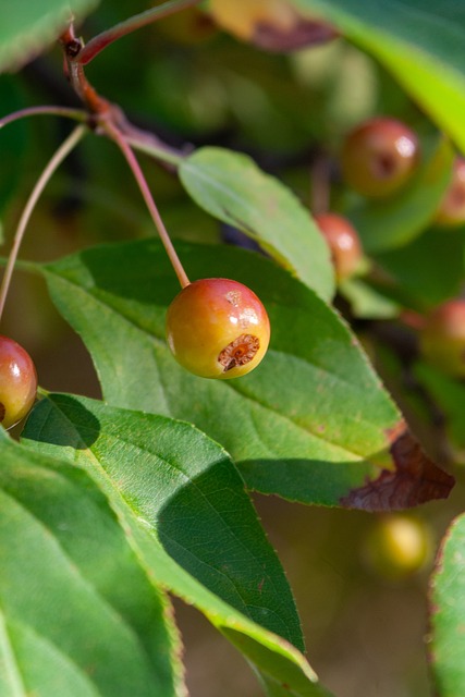 突是各方的 突是各方的