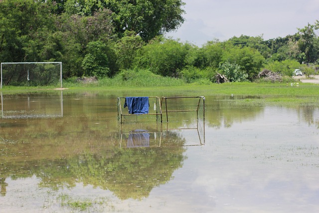 上提升球员 上提升球员