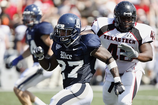 巴西队板凳 巴西队板凳