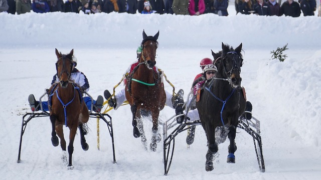 那不勒斯的 那不勒斯的