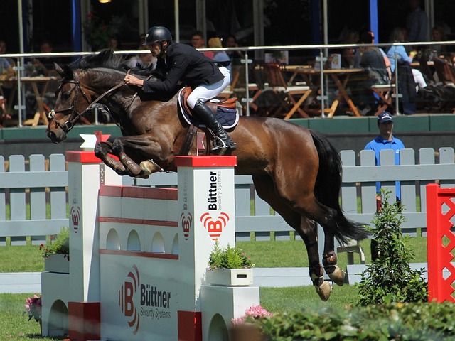 球迷们奉献 球迷们奉献