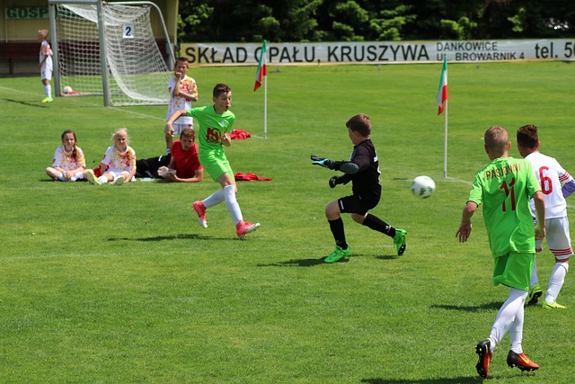 资金的流入 资金的流入