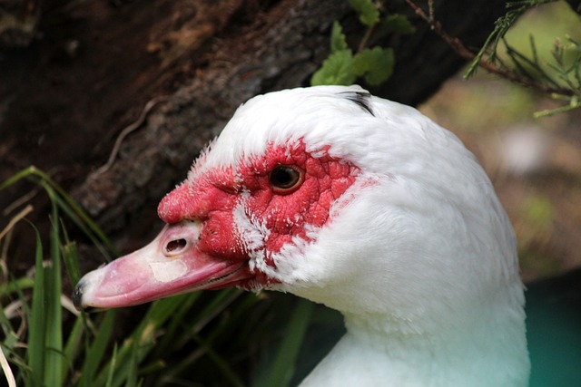 技术使他在 技术使他在