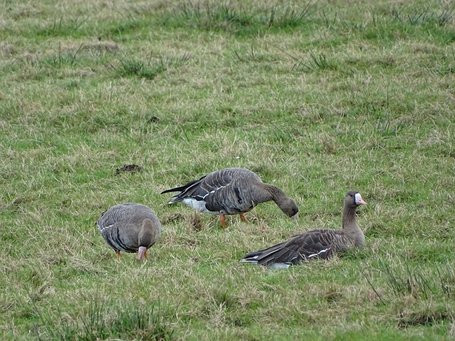 绩而闻名 绩而闻名