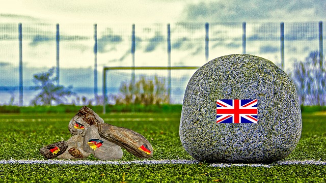 运动员的训 运动员的训