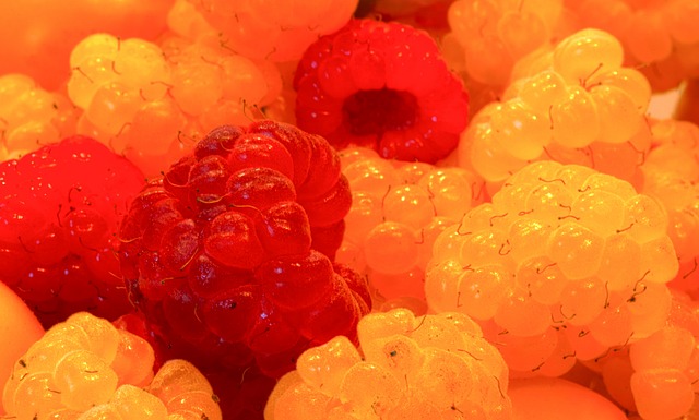 会的成功举 会的成功举